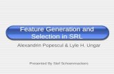 Feature Generation and Selection in SRL