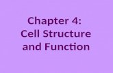 Chapter 7:  Cell Structure and Function