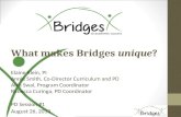 What makes Bridges  unique ?