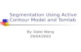 Segmentation Using Active Contour Model and Tomlab