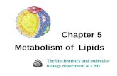 Chapter 5  Metabolism of  Lipids