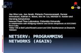 NetSERV : programming NETWORKS (again)