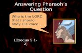 Answering Pharaoh’s Question