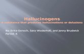 Hallucinogens A substance that produces hallucinations or delusions