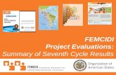 FEMCIDI Project Evaluations: Summary of Seventh Cycle Results