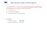Who Wants to Be a CFD Expert?