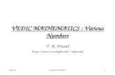 VEDIC MATHEMATICS : Various Numbers