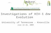 Investigations of HIV-1  Env  Evolution