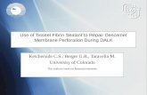 Use of Tisseel Fibrin Sealant to Repair Descemet Membrane Perforation During DALK