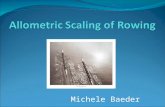 Allometric  Scaling of Rowing