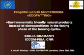 Progetto : LIFE10 ENV/IT/000364  «ECOFATTING»