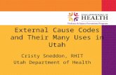 External Cause Codes and Their Many Uses in Utah