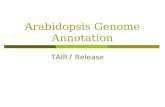 Arabidopsis Genome Annotation