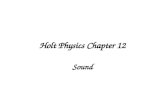 Holt Physics Chapter 12