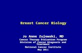 Jo Anne Zujewski, MD Cancer Therapy Evaluation Program Division of Cancer Diagnosis and Treatment