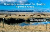 Grazing Management for Healthy Riparian Areas