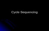 Cycle Sequencing