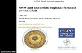 NMM and ensemble regional forecast on the GRID Luka Ilic South Environment and Weather Agency