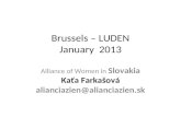 Brussels – LUDEN January  2013