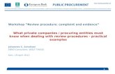 Workshop “Review  procedure: complaint and evidence”