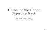 Herbs for the Upper Digestive Tract  Lee W Carroll, B.Sc.