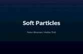 Soft  Particles