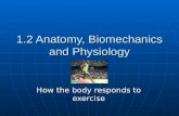 1.2 Anatomy, Biomechanics and Physiology