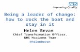 Being a leader of change: how to rock the boat and stay in it