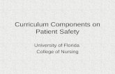 Curriculum Components on Patient Safety