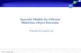 Sparselet Models for Efficient Multiclass Object Detection