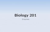 Biology 201  Enzymes