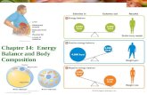 Chapter 14:  Energy Balance and Body Composition