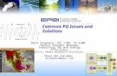 Common PQ Issues and Solutions