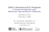 DOE’s Genomics:GTL Program A Protein Production and  Molecular Tag Facility for California