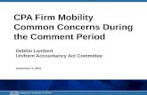 CPA Firm Mobility  Common Concerns During  the Comment Period