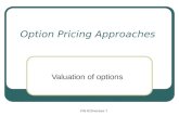 Option Pricing Approaches