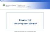 Chapter 19  The Pregnant Woman