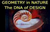 GEOMETRY in NATURE The DNA of DESIGN Mark Rosenhaus, CKD