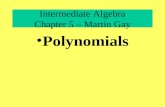 Intermediate Algebra Chapter 5 – Martin Gay