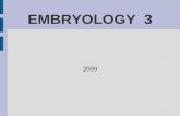EMBRYOLOGY  3