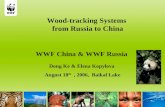 Wood-tracking Systems  from Russia to China