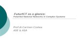 FuturICT as a glance:  Potential National Networks in Complex Systems