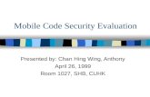 Mobile Code Security Evaluation