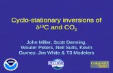 Cyclo-stationary inversions of  d 13 C and CO 2
