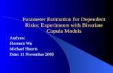Parameter Estimation for Dependent Risks: Experiments with Bivariate Copula Models