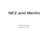 NF2 and Merlin