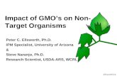 Impact of GMO’s on Non-Target Organisms