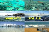 Habitats       SOL 3.6