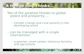 A Hedge Hog Thinks…
