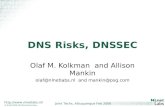 DNS Risks, DNSSEC